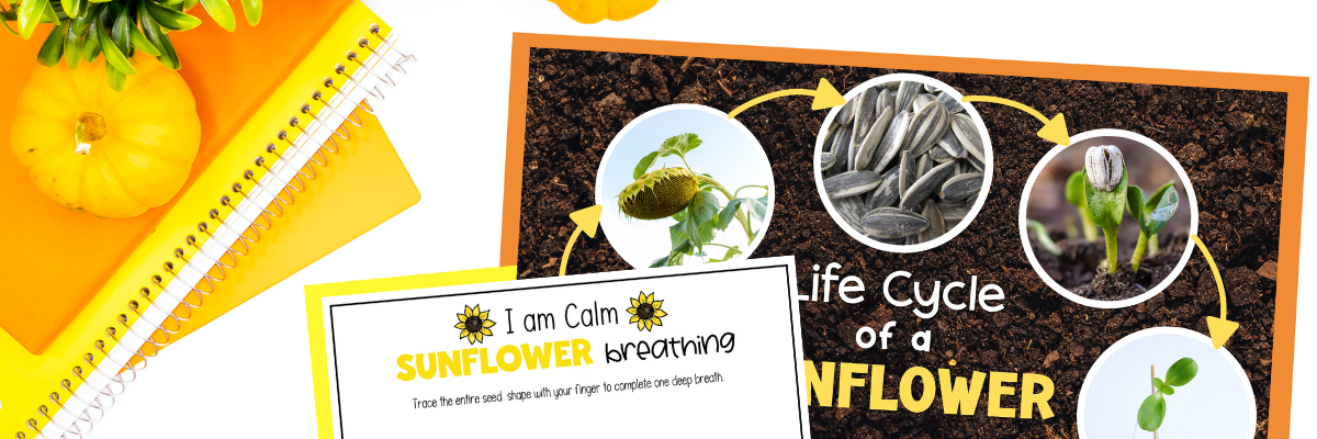 AUTUMN PRESCHOOL ACTIVITIES