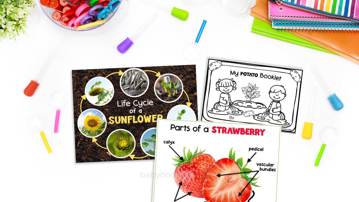 Plant Science Preschool Activities & Printables | Baby Boo's Backpack