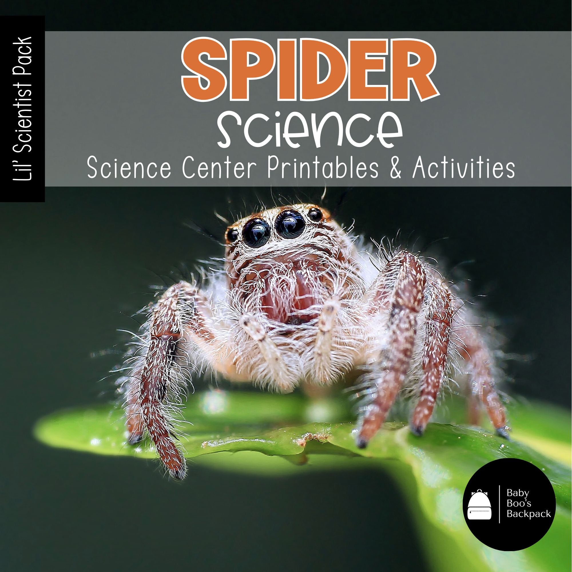 Spider Science | Activities, Experiments & Science Center Printables ...