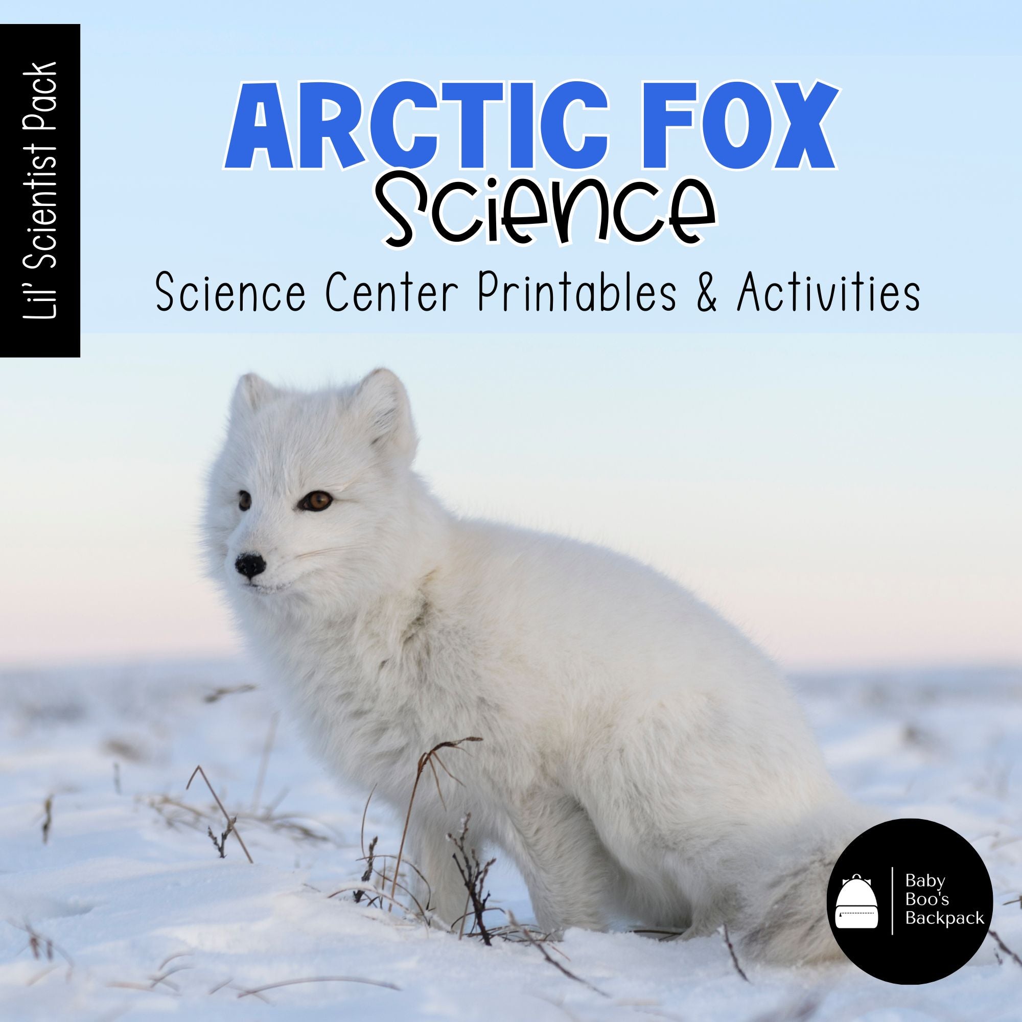 Arctic Fox Science | Activities, Experiments & Science Center Printabl ...