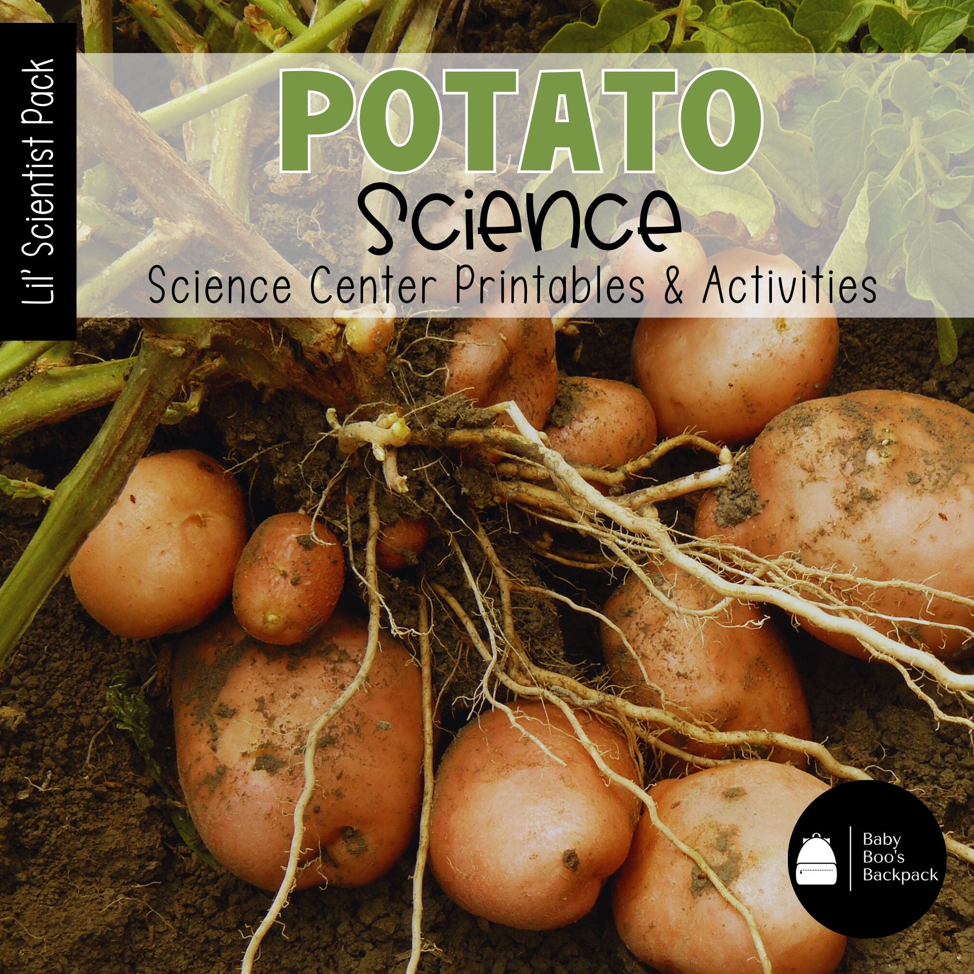 Potato Science | Activities, Experiments & Science Center Printables ...