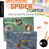 Spider Science | Activities, Experiments & Science Center Printables