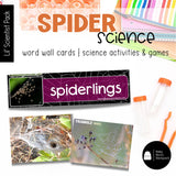Spider Science | Activities, Experiments & Science Center Printables