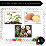 Potato Science | Activities, Experiments & Science Center Printables