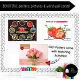 Strawberry Science | Activities, Experiments & Science Center Printables