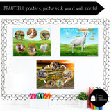 Goat Science | Activities, Experiments & Science Center Printables