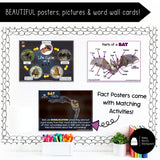 Bat Science | Activities, Experiments & Science Center Printables
