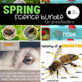 Spring Science Bundle | Spring Science Activities, Printables & Posters