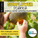 Sunflower Science Lesson Plan | Activities, Experiments & Science Center Printables