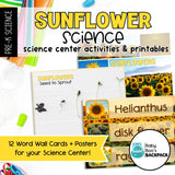 Sunflower Science Lesson Plan | Activities, Experiments & Science Center Printables