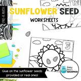 Sunflower Seed Counting Mats, Task Cards & Worksheets | Numbers 0-15
