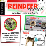 Reindeer Science | Reindeer Science Task Cards & Booklet