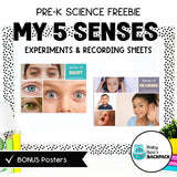 My 5 Senses Science | Activities, Experiments & Science Posters | FREE