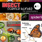 Insect Science Bundle | Insect Science Activities, Printables & Posters