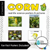 Corn Science | Activities, Experiments & Science Center Printables