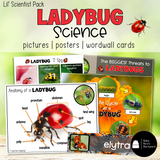 Ladybug Science Activities | Ladybug Science Center Printables & Posters
