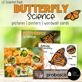 Butterfly Science Activities | Butterfly Science Center Printables & Posters