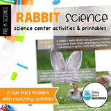 Rabbit Science | Activities, Experiments & Science Center Printables