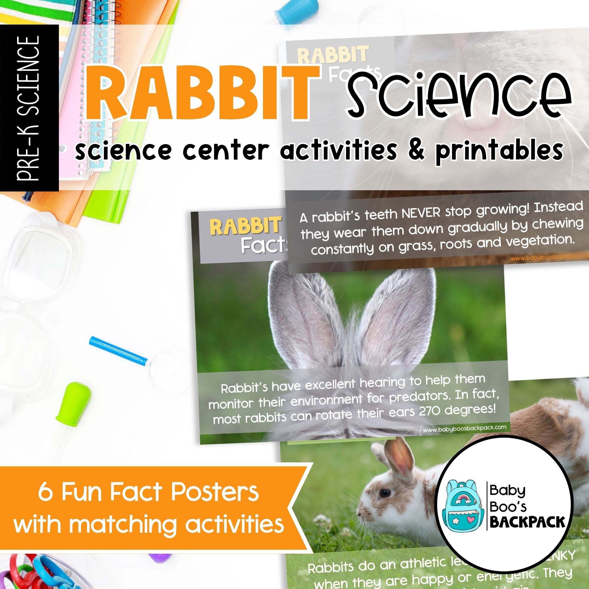Rabbit Science | Activities, Experiments & Science Center Printables ...
