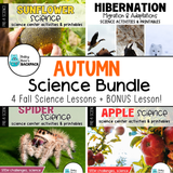 Autumn STEM Science Bundle | Apple, Pumpkin, Sunflower, Spider & Hibernation Activities