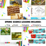 Spring Science Bundle | Spring Science Activities, Printables & Posters