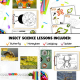 Insect Science Bundle | Insect Science Activities, Printables & Posters