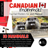 Canadian Mammals Science | Activities, Experiments & Science Center Printables