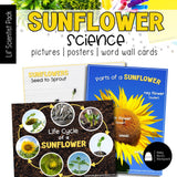 Sunflower Science | Activities, Experiments & Science Center Printables