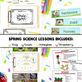 Spring Science Bundle | Spring Science Activities, Printables & Posters