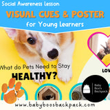 Animal Shelters: Social Awareness Lesson Plan