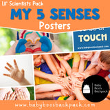 My 5 Senses Science | Activities, Experiments & Science Posters